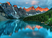 乐鱼官方网站：开启安全高效的娱乐新纪元